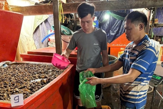 Ăn phải ốc chứa 'thủy tinh lỏng' nguy hiểm thế nào?