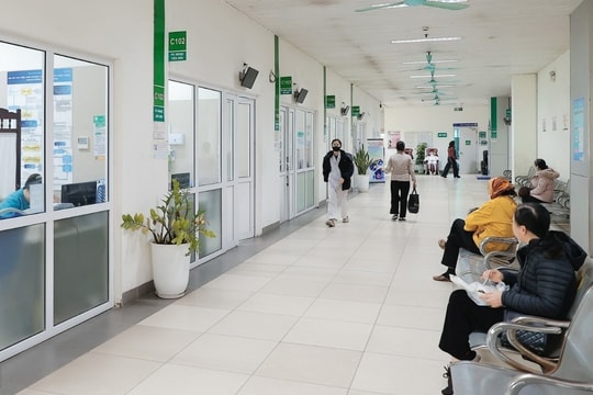 Virus Nipah chưa có khả năng gây ra đại dịch tương tự COVID-19