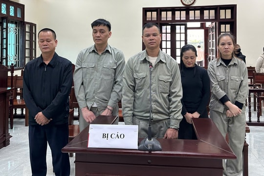 Phạt nhiều năm tù nhóm bị cáo lừa đảo xuất khẩu lao động