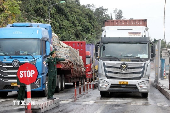 Hải quan phối hợp giải phóng nông sản ùn ứ ở các cửa khẩu