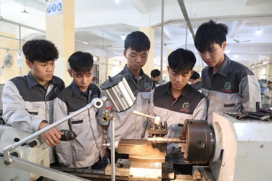 Những trường đại học công lập, trường nghề nào sẽ phải sắp xếp lại?
