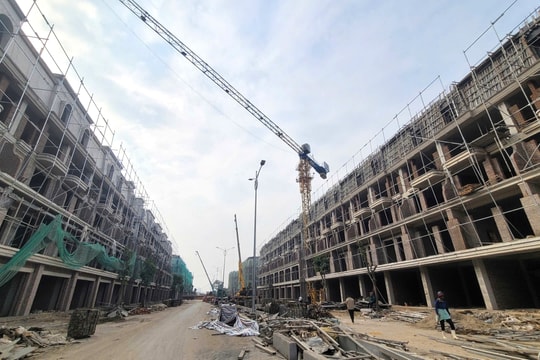 Mưu sinh nơi… lưng chừng trời