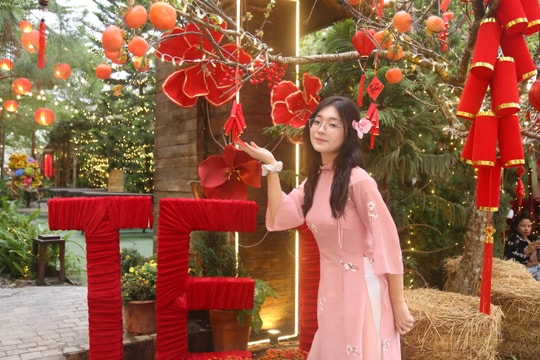 Trang trí quán cà phê đón Tết