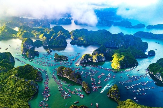 Belgian TV unveils beauty of Ha Long Bay and Cat Ba langur