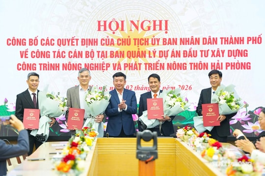 Đồng chí Nguyễn Anh Sơn giữ chức Giám đốc Ban Quản lý dự án đầu tư xây dựng công trình nông nghiệp và phát triển nông thôn Hải Phòng