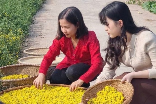Hai Phong OCOP products dominate Tet gift baskets