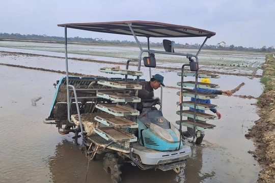Xã Kiến Hải phấn đấu đưa 50 ha đất nông nghiệp hoang hóa trở lại sản xuất