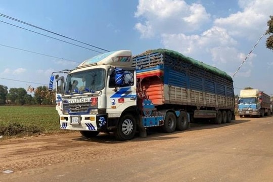 Không để ách tắc, ùn ứ thực phẩm, hàng hóa xuất, nhập khẩu