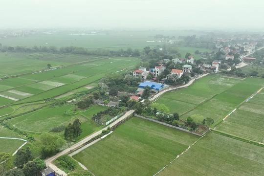 Gian dối để hưởng ưu đãi tiền sử dụng đất sẽ bị truy thu và tính tiền chậm nộp