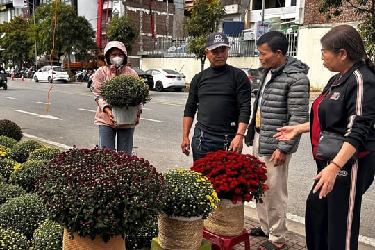 Tấp nập chợ hoa xuân trên thành phố Cảng
