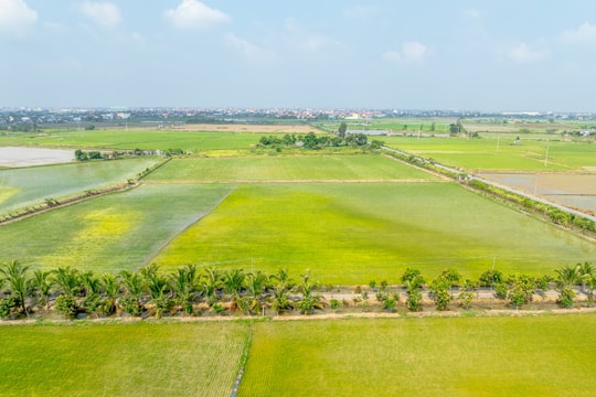 Hải Phòng ban hành đơn giá bồi thường thiệt hại với cây trồng, thủy sản khi thu hồi đất