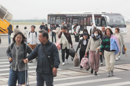 Cảng Hàng không quốc tế Cát Bi chủ động kiểm dịch y tế, ngăn chặn virus Nipah xâm nhập