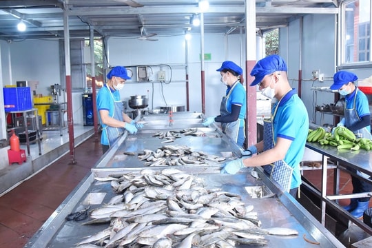 Ensuring food hygiene and safety during Tet