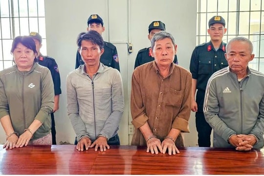 Khởi tố 5 đối tượng chiếm đất rừng phòng hộ, làm giả nguồn gốc đất để lừa đảo