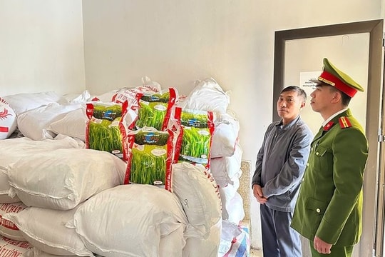 Thu giữ 2,75 tấn gạo giả mang nhãn hiệu 'Thơm Lài Sữa'