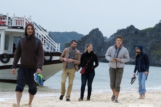 Cat Ba tourism sees strong recovery