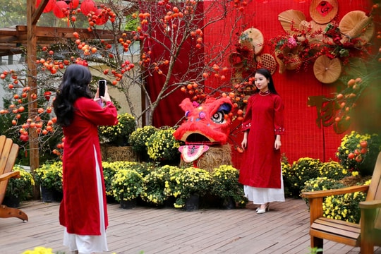 Người trẻ Hải Phòng làm mới không khí Tết