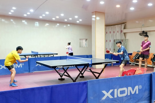 Hai tay vợt Hải Phòng dự Giải vô địch bóng bàn trẻ Đông Nam Á 2026