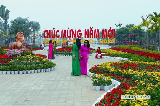 Hoàn thành trang trí đường hoa lớn nhất Hải Phòng