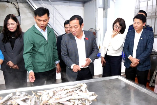 Lãnh đạo HĐND thành phố khảo sát thị trường hàng hóa phục vụ Tết Nguyên đán