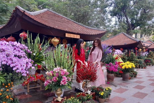 Xuân về trên phố Cảng