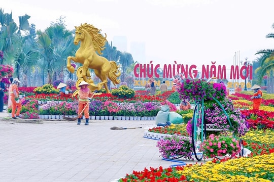 Hai Phong’s largest flower street completed