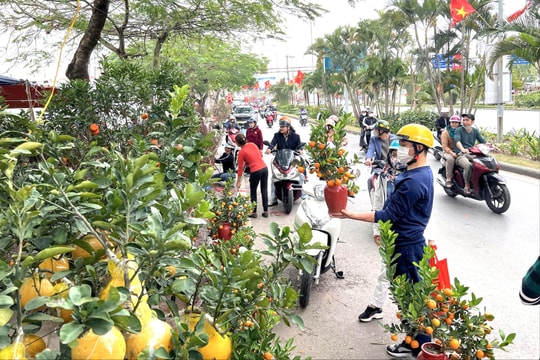 Thưởng ngoạn chợ hoa ngày Tết - thú vui tao nhã đón xuân