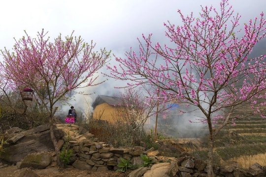 Một trời hy vọng