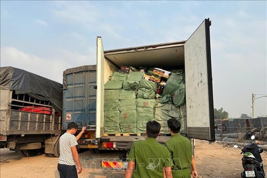 Tạm giữ hơn 28,8 tấn thực phẩm đông lạnh không rõ nguồn gốc