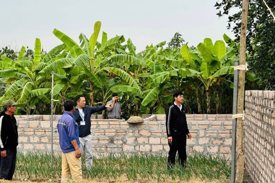 Phường Nhị Chiểu công bố 6 số điện thoại đường dây nóng về đất đai, môi trường dịp Tết Bính Ngọ