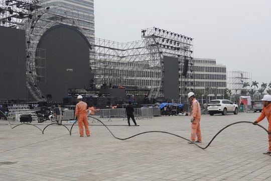 Ensuring safe, stable power supply for Tet holiday