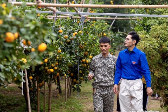 Tuổi trẻ Hải Phòng rèn bản lĩnh từ việc làm cụ thể