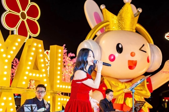 Cultural spaces on Tet holiday