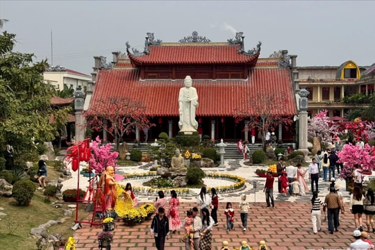 Đầu năm làm điều lành, vun đắp may mắn cho gia đình