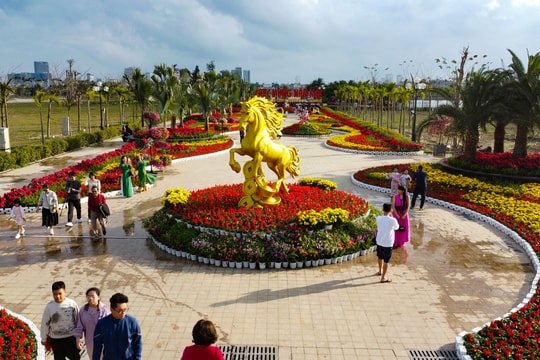 Spring outing in eastern Hai Phong