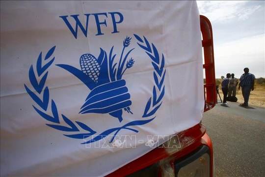 WFP có thể ngừng cứu trợ lương thực cho Somalia