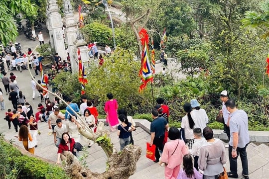 Over 150,000 visitors flock to Haiphong's Western heritage sites