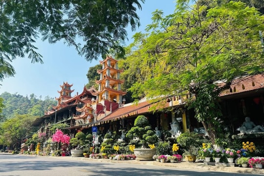 Chùa Hang - tọa độ lịch sử nơi Phật giáo theo đường biển vào đất Việt