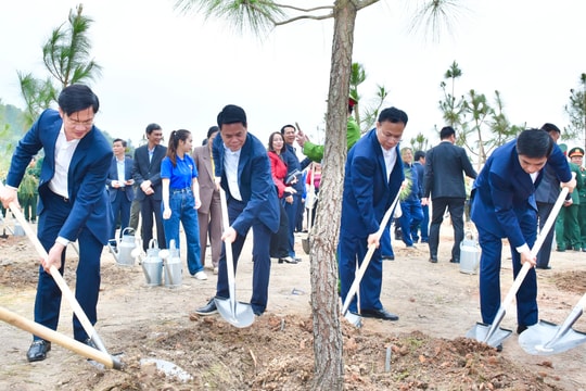 Chủ tịch UBND thành phố Lê Ngọc Châu dự Tết trồng cây tại phường Trần Hưng Đạo