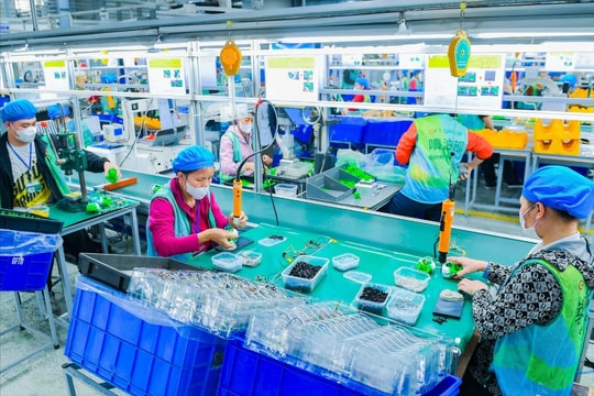 Sau Tết 2026, hơn 95% lao động toàn quốc trở lại làm việc