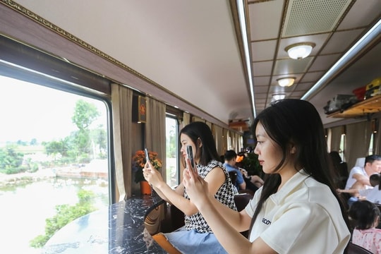 Xình xịch nhịp tàu Hoa Phượng Đỏ ngày xuân