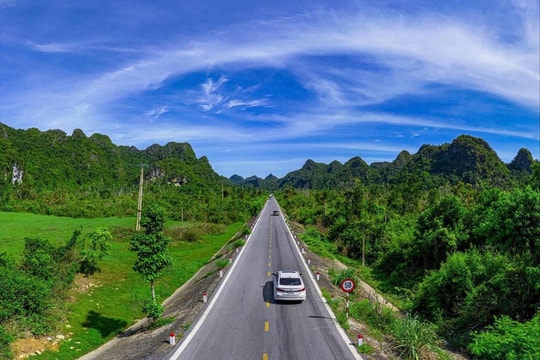 Đến Hải Phòng dịp đầu năm mới