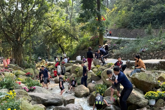 Con Son stream revives during spring festival season