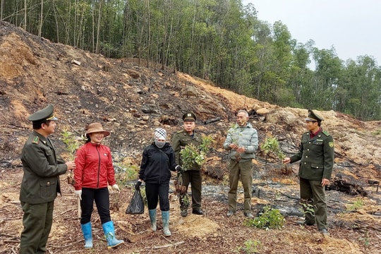 Preserving green heritage sites