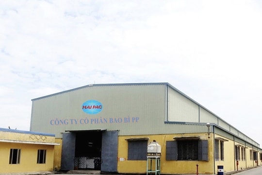 Công ty CP Bao bì PP ở Hải Phòng sắp chia cổ tức bằng tiền mặt, tỷ lệ 100%