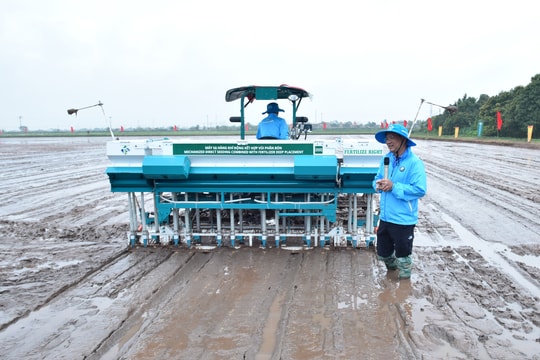 Khởi động mô hình canh tác lúa hiệu quả cao, phát thải thấp
