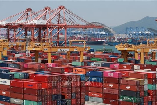 Hàn Quốc siết chặt quản lý hạn ngạch thuế quan