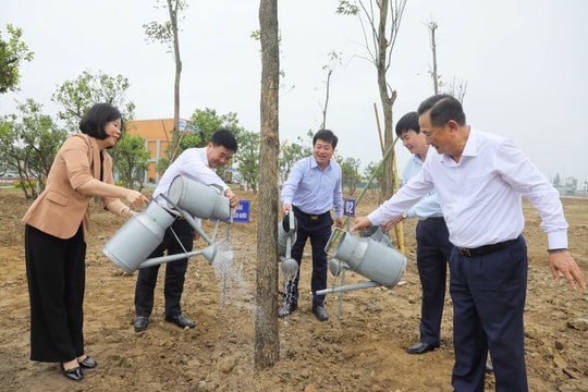Trồng gần 370 cây xanh tại khu đô thị mới Nam Hải Dương