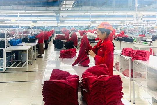 Sở Công Thương rà soát nắm tình hình xuất nhập khẩu của doanh nghiệp