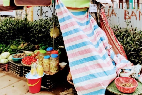Giải tỏa việc bán hàng tự phát trên đường Hoa Động